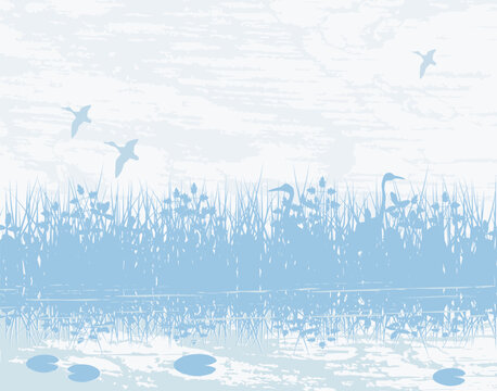 Vector illustration of birds in a natural wetland