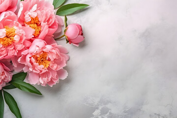 Peony flowers on light concrete stone background, spring flat lay composition. Valentine's, womens, mothers day, birthday or wedding concept. Top view. Copy space. Generated AI.