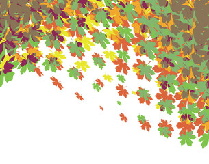 Fototapeta na wymiar Editable vector illustration of maple leaves in the fall