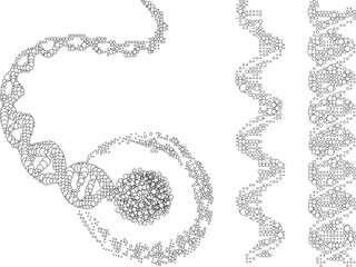 abstract DNA chains, vector illustration