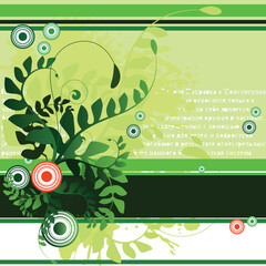 Vector - Floral illustration with vines and ferns. Blank space for your text.