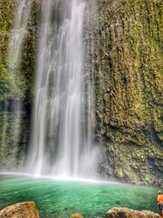 waterfall in the forest