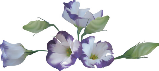 An illustration of a motif beautiful flower