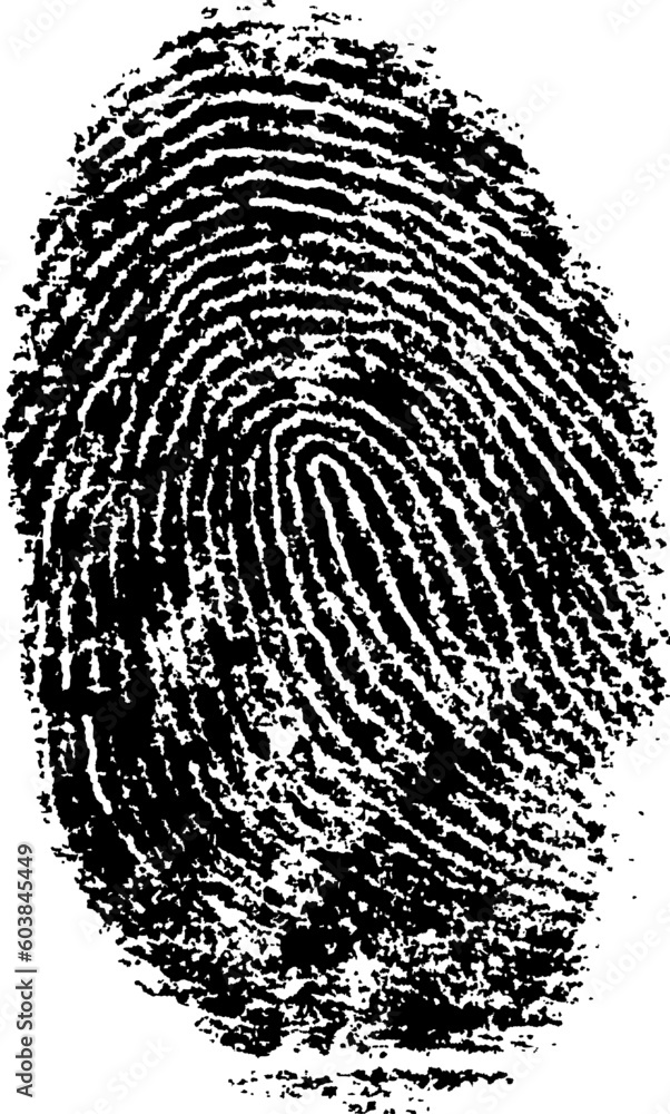 Poster black and white vector fingerprint - very accurately scanned and traced ( vector is transparent so i