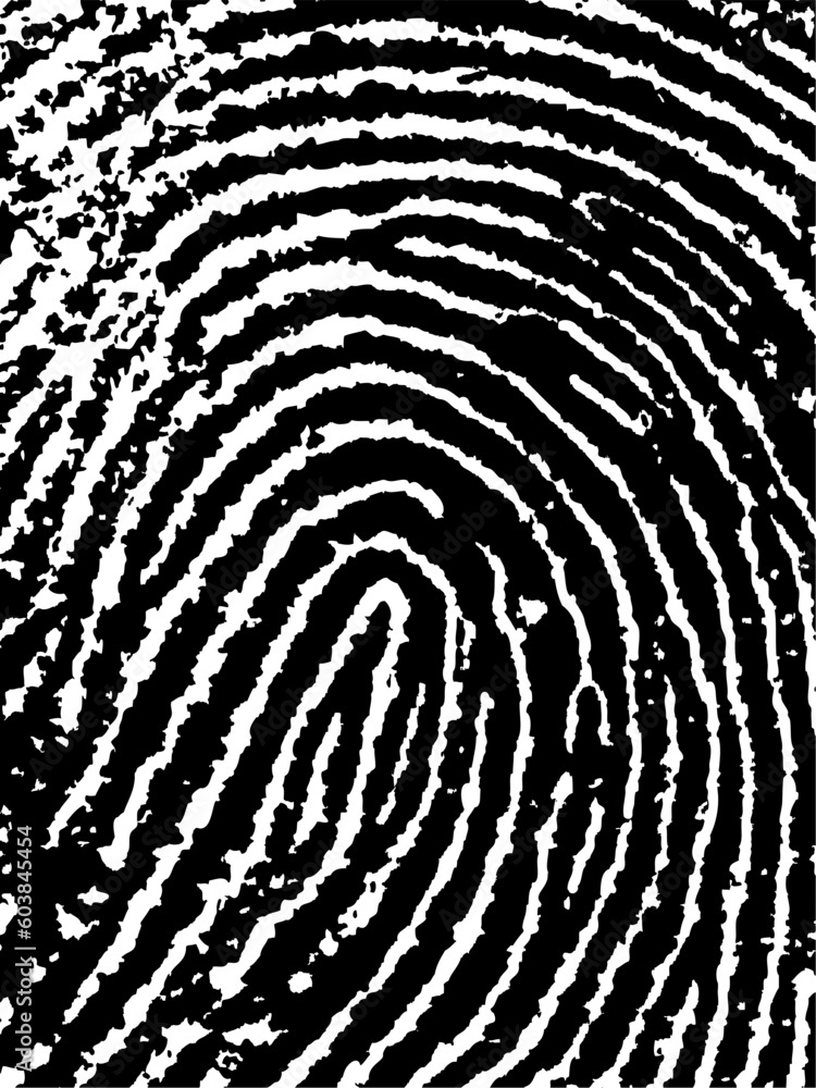 Poster close crop of a fingerprint - very accurately scanned and traced ( vector is transparent so it can b