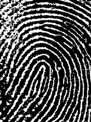 Close crop of a Fingerprint - Very accurately scanned and traced ( Vector is transparent so it can be overlaid on other images, vectors etc.)