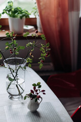 Rosehip branches in a glass vase and in a ceramic decanter on the table.