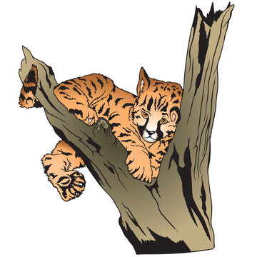 Leopard 2 - coloured cartoon illustration as vector - Leopard Puppy on branch