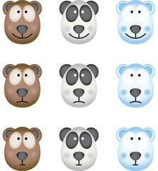 Bears