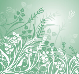Fototapeta na wymiar Floral background, illustration