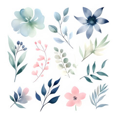 Watercolor floral illustration elements set
