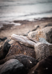 An image looking a piece of driftwood sitting on a large pile of rocks. in the background you can see the ocean and an island.