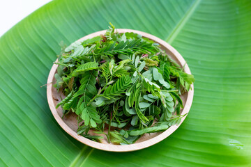 Young tamarind leaves on banana leaf