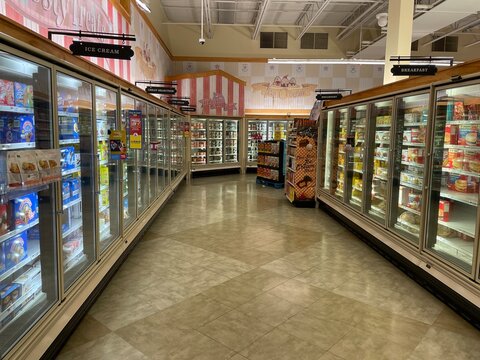 Food Lion grocery store interior frozen food back section