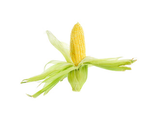  fresh corn isolated on   transparent  png