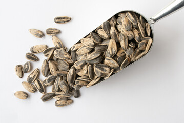 Roasted Salted Sunflower Seeds Spilled from a Scoop
