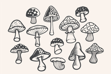 Hand drawn natural mushroom illustration design - obrazy, fototapety, plakaty
