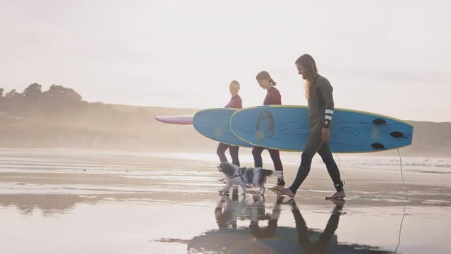 Young friends carrying surfboards walking and talking on ocean beach. Active surfer sports women and man friends with family dog, tired after practice in the sea, catching waves on a high tide.