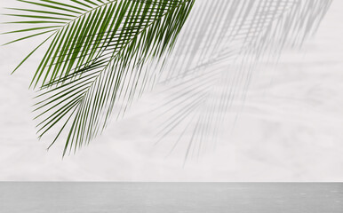 Tropical leaves over grey table casting shadow on white wall with pattern, space for text