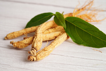 Ginseng roots and green leaf, healthy food.