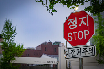 Fototapeta premium 韓国 ソウル 明洞の風景