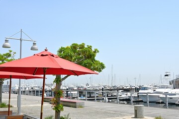 beach with umbrellas and chairs