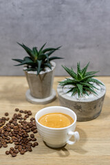 Cup of coffee and plant pot on wooden table