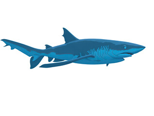 shark isolated on white, Generative Ai