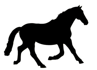 Fototapeta na wymiar Horse isolated on white. Generative Ai