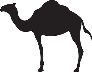 Camel In The Desert Vector Silhouette Illustration	