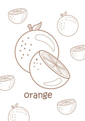 Alphabet O For Orange Vocabulary School Coloring Pages for Kids and Adult