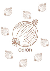 Alphabet O For Onion Vocabulary School Coloring Pages for Kids and Adult