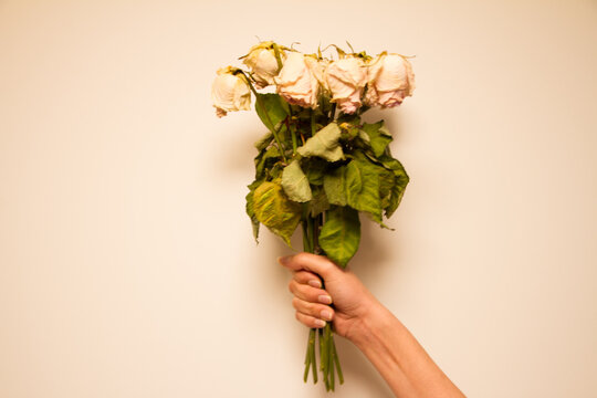 bouquet of roses