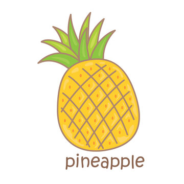 Alphabet P For Pineapple Vocabulary School Illustration Vector Clipart Cartoon