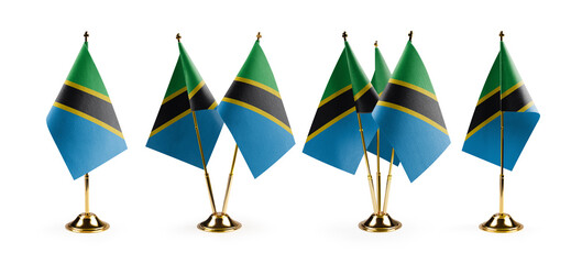 Small national flags of the Tanzania on a white background