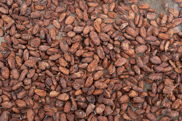 Dark brown cocoa bean texture for cooking and desserts.