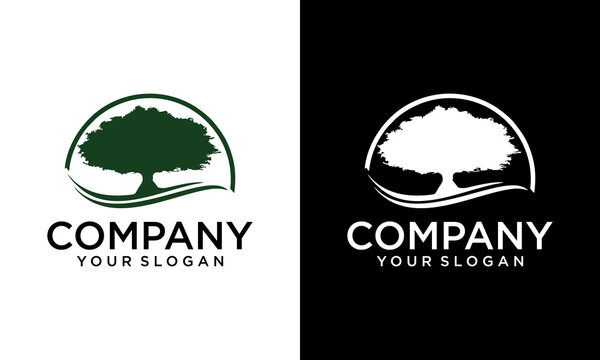 Circle tree logo icon template design. Round garden plant natural line symbol. Green branch with leaves business sign. Vector illustration.