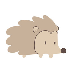 hedgehog