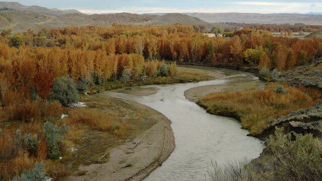 Morning sun on orange trees along montana river breaks