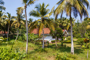 A house in the forest in Sri Lanka