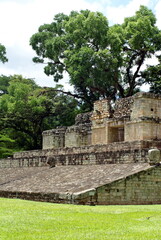Fototapeta na wymiar Ball court at the Mayan ruins in Copan, Honduras