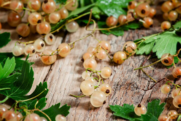Fototapeta na wymiar White currants with leaves on old wooden background, selective focus