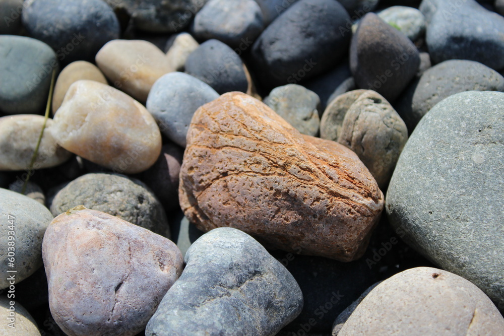 Wall mural beach stones in the pacific northwest