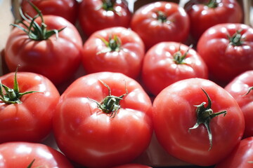 Fresh selected tomatoes in wooden boxes on sale.