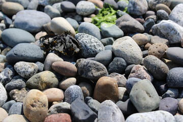 Variety of pebbles on the beach