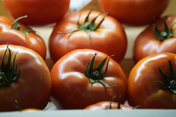 Fresh selected tomatoes in wooden boxes on sale.