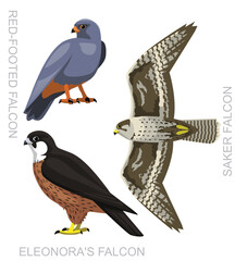 Cute Bird Saker Falcon Set Cartoon Vector
