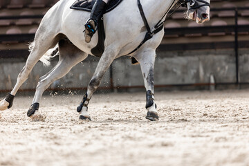 Horse jumping, Equestrian sports, Show jumping. The rider. Horse legs close up
