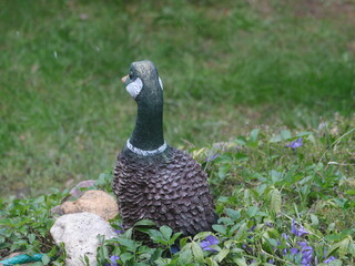 Clay duck in grass and flowers