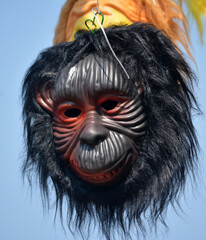 Face of a diffierent type of animal carnival mask, isolated on white background. Mask of the biggest cat,tiger,dog,moneky.Bengali festival pohela boishakh.
